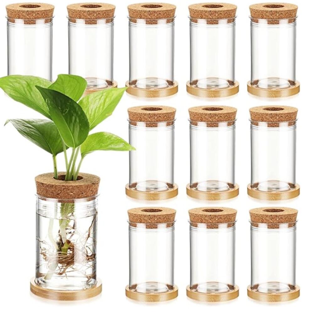 12 Packs Plastic Plant Propagation Vases for Plants with Hole Lid
